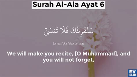 Surah Ala Ayat 3 873 Quran With Tafsir My Islam