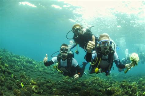Diving In Bali Bali Underwater Wedding