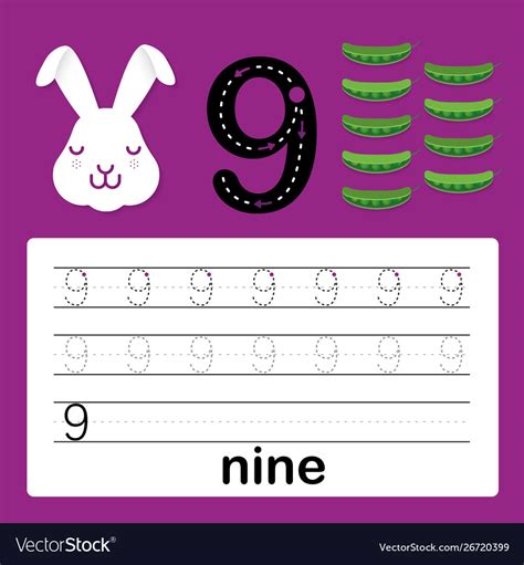 Number 9 Card For Kids Learn To Count And Write Vector Image