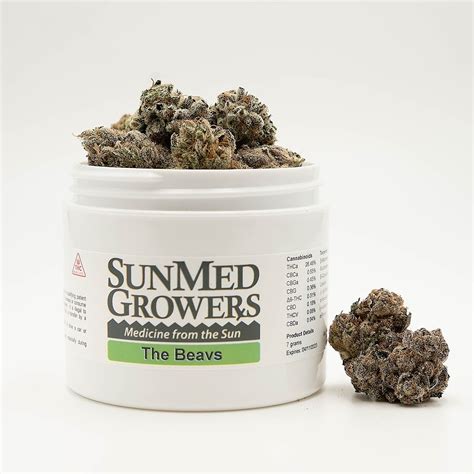 The Beavs Strain Leafly
