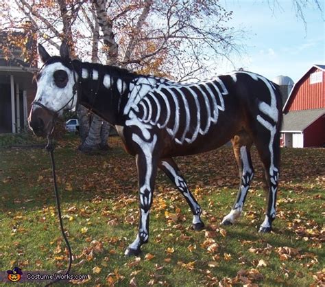 Skeleton Horse Halloween Costume