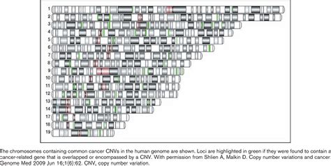 Copy Number Variations And Cancer Susceptibility Current Opinion In