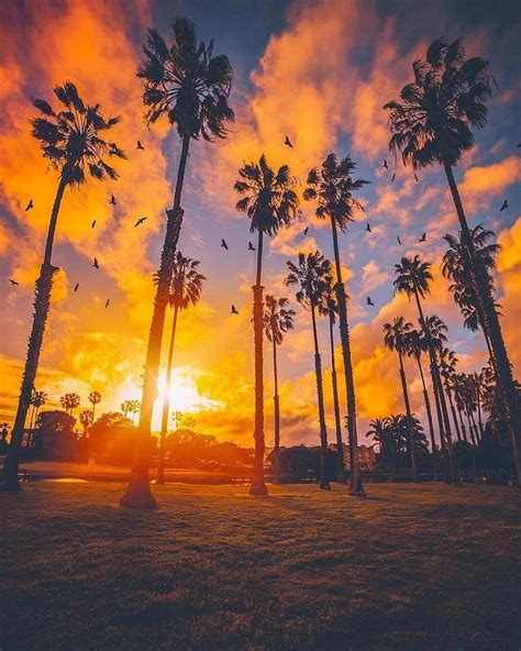 California Sun Beach Sunset Hd Phone Wallpaper Peakpx