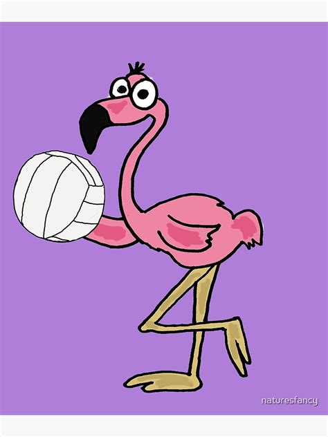 Funny Pink Flamingo Playing Volleyball Poster For Sale By