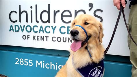 Paws Service Dog Begins Work At Childrens Advocacy Center