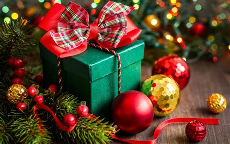 8 Places To Pick A Christmas Tree In Pune
