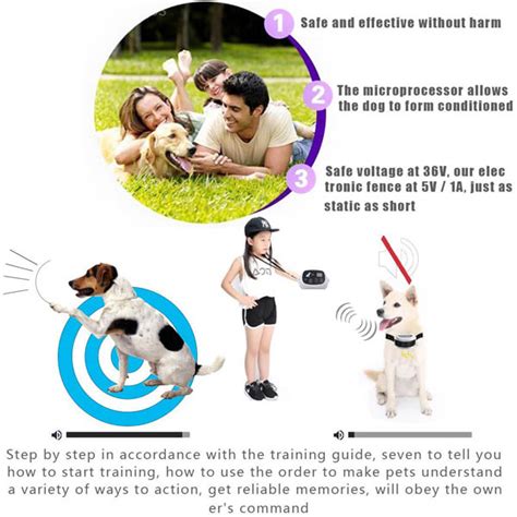 Petsafe wireless dog and cat containment system. Outdoor Wireless Electronic Dog Fence System : Dog ...