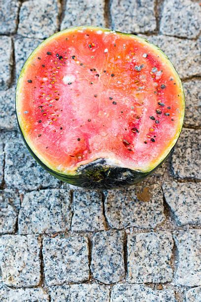 Rotten Watermelon Pics Stock Photos Pictures And Royalty Free Images