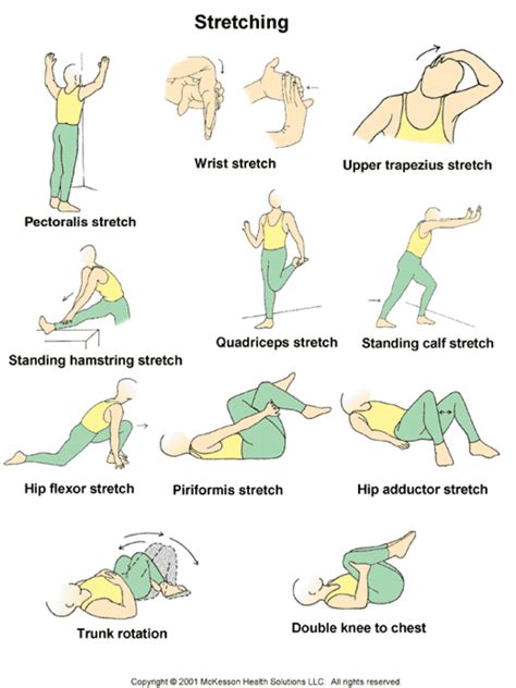 7 Tips To Get The Greatest Benefits From Stretching Caloriebee