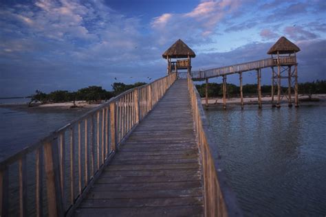 Yum Balam Una Reserva Ecólogica En Quintana Roo Que Debes Visitar