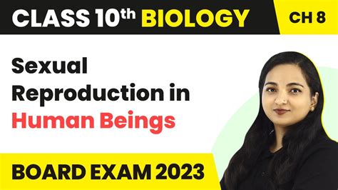 Sexual Reproduction In Human Beings How Do Organisms Reproduce Class 10 Biology Ch 8 2022