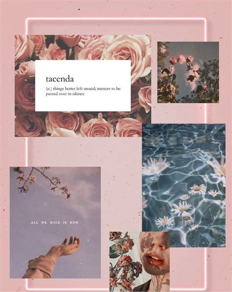 Cute Pink Mood Boards Polaroid Film Vibes Wallpaper Wallpapers