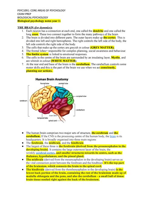 Biological Psychology Notes Exam Prep Biological Psychology