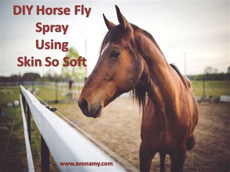 Diy Horse Fly Spray Using Skin So Soft With Images Fly Spray For Horses