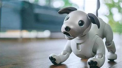 Aibo Conheça Em Detalhes O Cachorro Robô Da Sony Que Está Cada Vez