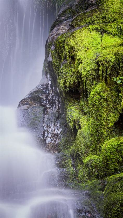Bright Green Moss Of Autumn Edges Soft Falling Waterfall Stock Image