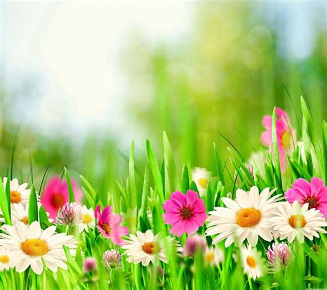 Welcome Spring Wallpapers Wallpaper Cave