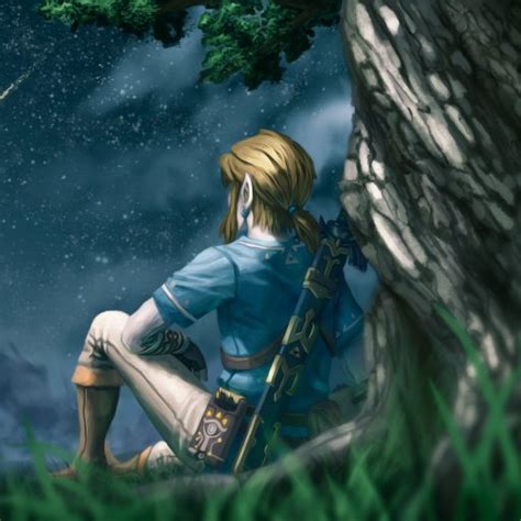 Download Link The Legend Of Zelda The Legend Of Zelda Breath Of The Wild Video Game Pfp By Xx
