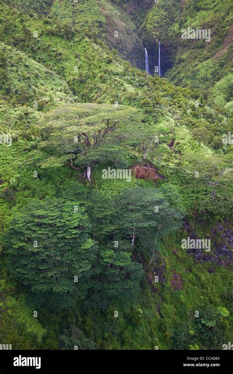 Aerial Of Waterfalls Kauai Hawaii Stock Photo Alamy