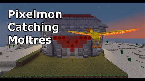 Pixelmon Catching Moltres Capturing Moltres On Pixelmon Youtube