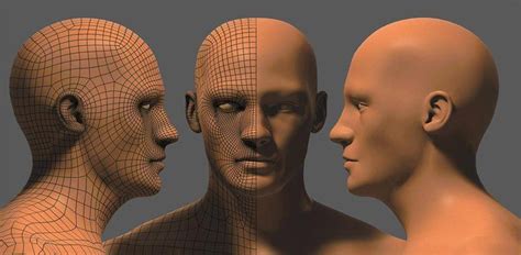 maya modeling the head maya modeling human topology 3d topology