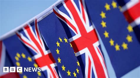 Brexit Your Questions Answered Bbc News