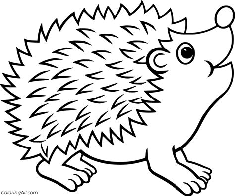 Thus, it is suggested for you to try sonic the hedgehog coloring pages. Hedgehog Coloring Pages - ColoringAll