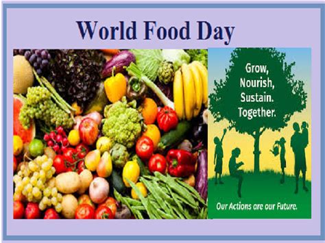 World Food Day 2020 Current Theme History And Objectives