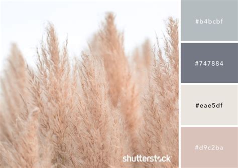 Gently Does It How To Design With Neutral Colors Earth Tones Palette