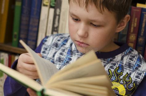 Close Up Of Cute Boy Reading Book In Library Stock Photo Image Of
