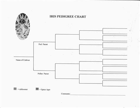Free Printable Blank Dog Pedigree Chart
