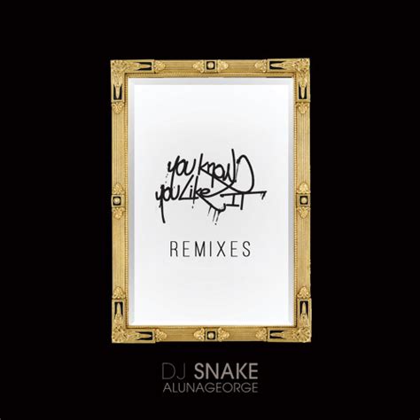 Download You Know You Like It Dj Snake Learningdwnload