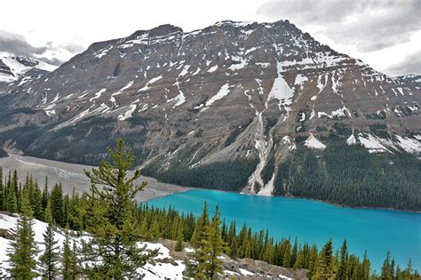 Spectacular Views Of Peyto Glacier And Peyto Lake The Gatethe Gate