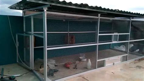 Serta memanfaatkan barang bekas di ukuran umbaran ayam bangkok, panjang 2mx85cm tinggi 75cm jarak jeruji 3cm pintu dari atas di video kali ini, kita akan membuat kandang umbaran ayam jago maupun ayam bangkok dari bambu. 71 Contoh Desain Kandang Ayam Petelur Umbaran Menakjubkan ...
