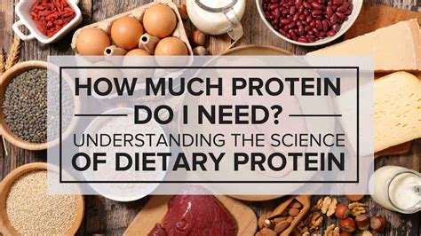 How Much Protein Do I Need Understanding The Science Of Dietary Protein