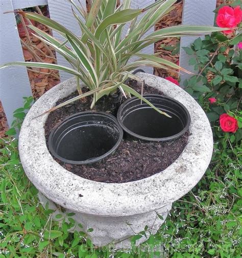 It adds more space to the entire house. Florida Friendly Plants | Florida Gardening Success ...