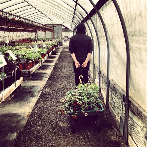 Let us inspire you with our exclusive range of flower bulbs, garden seeds and perennials. Moose Crossing Garden Center, Waldoboro, Maine | Waldoboro ...