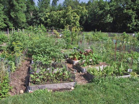 Maybe you would like to learn more about one of these? Community Gardens in New Jersey