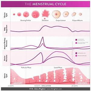 What Causes Endometrial Hyperplasia What To Do About It Dr Jolene