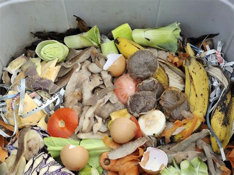 Americans Throw Away 150000 Tons Of Food Every Day Finds Government