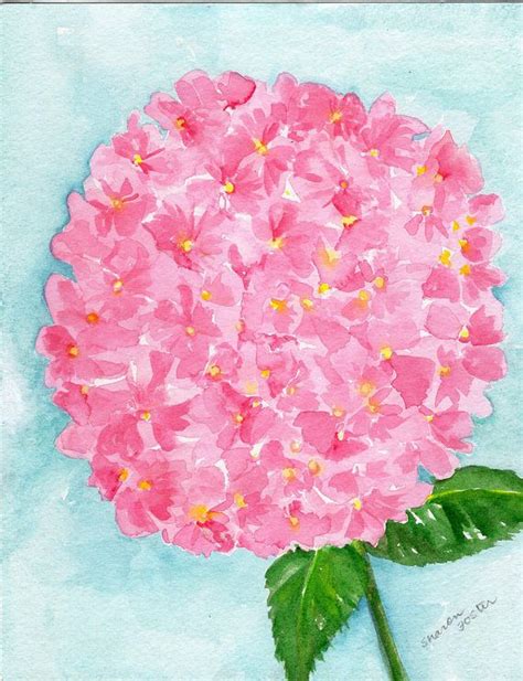 Pink Hydrangea Watercolor Painting Original Hydrangea Flower Etsy