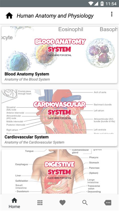 Human Anatomy And Physiology For Android Download