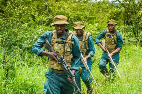 How One Man Is Fighting Poachers In Africa 16 Pics
