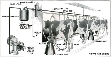 Milking From Moo To You Milking Your Guide To The Dairy Industry