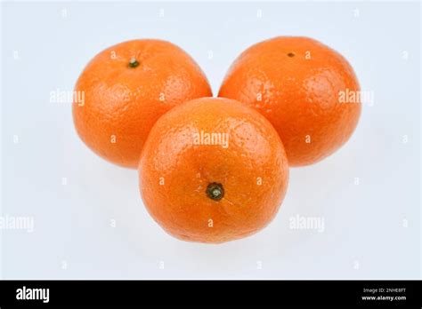 Mandarin Orange Citrus Reticulata Stock Photo Alamy