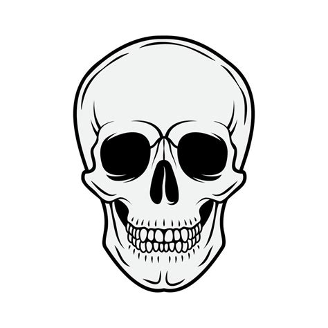 Human Skull Front View Vector Black And White Hand Drawn Illustration