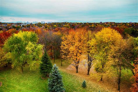 15 fun things to do outdoors in Toronto this fall