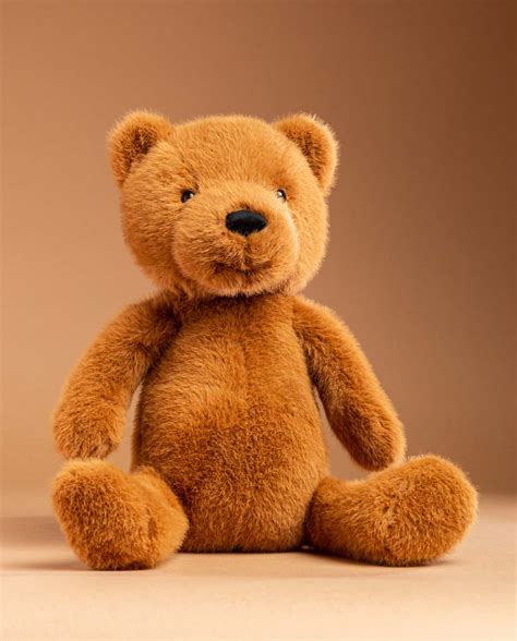 Maple Teddy Bear | Teddy Gift Idea | Say it Softly Send a Cuddly | Gift Box