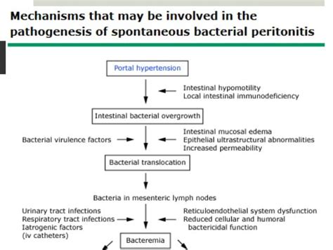 Sbp And Hepatic Encephalopathy