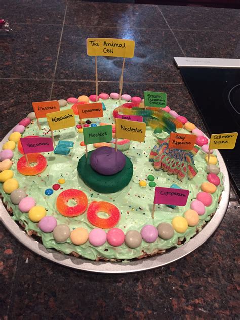 Animal Cell Project Edible Animal Cell Project Edible Cell Animal